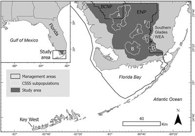 Sea level rise may pose conservation challenges for the endangered Cape Sable seaside sparrow